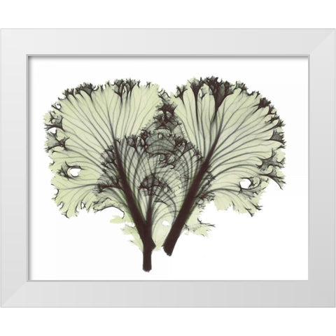 Kale in Green White Modern Wood Framed Art Print by Koetsier, Albert