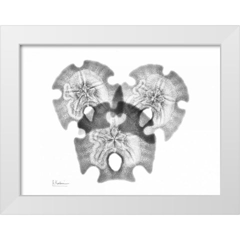 Triple Stars White Modern Wood Framed Art Print by Koetsier, Albert