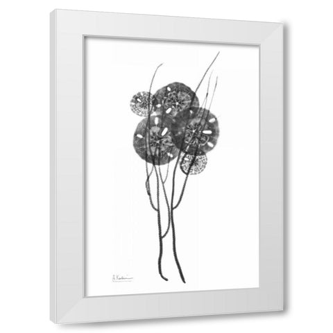 Sand Dollars in BandW White Modern Wood Framed Art Print by Koetsier, Albert