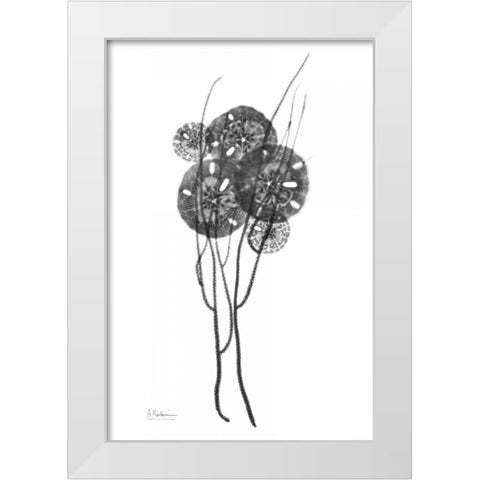 Sand Dollars in BandW White Modern Wood Framed Art Print by Koetsier, Albert