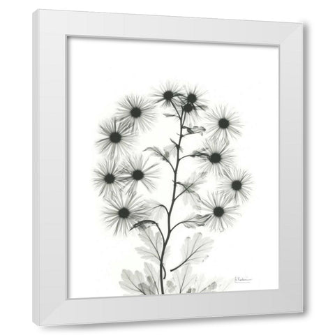 Chrysanthemum Bouquet White Modern Wood Framed Art Print by Koetsier, Albert