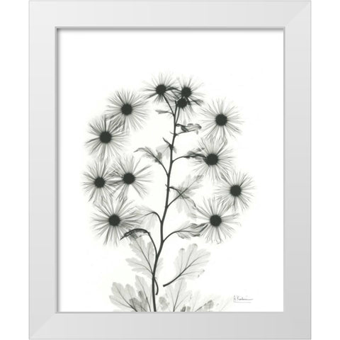 Chrysanthemum Bouquet White Modern Wood Framed Art Print by Koetsier, Albert