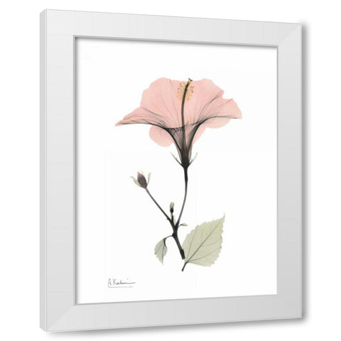 Pink Hibiscus White Modern Wood Framed Art Print by Koetsier, Albert