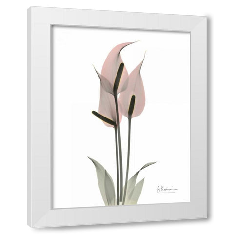 Pink Flamingo White Modern Wood Framed Art Print by Koetsier, Albert