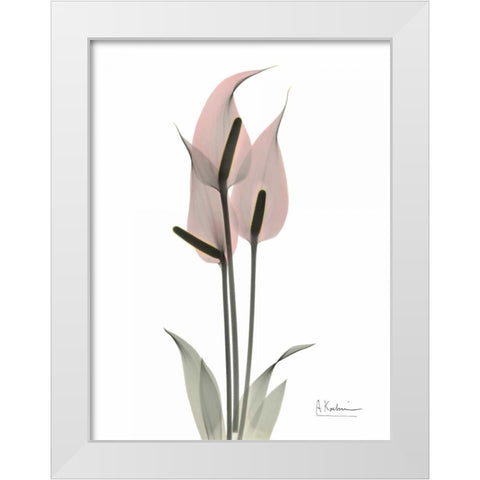 Pink Flamingo White Modern Wood Framed Art Print by Koetsier, Albert