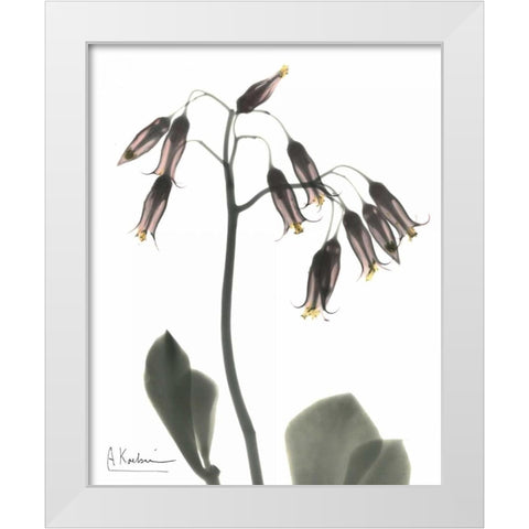 Kalan Chloe in Color White Modern Wood Framed Art Print by Koetsier, Albert