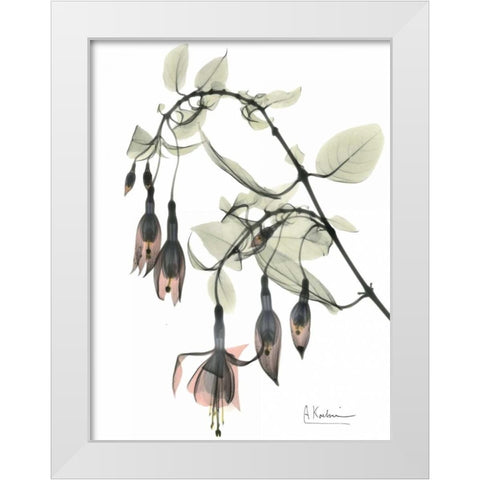 Fuchsia in Color White Modern Wood Framed Art Print by Koetsier, Albert