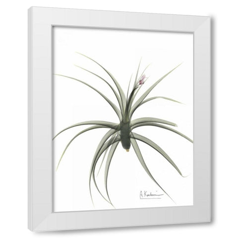 Zero Entropy White Modern Wood Framed Art Print by Koetsier, Albert