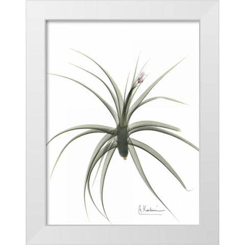 Zero Entropy White Modern Wood Framed Art Print by Koetsier, Albert