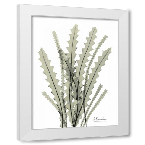 Banksia in Green White Modern Wood Framed Art Print by Koetsier, Albert