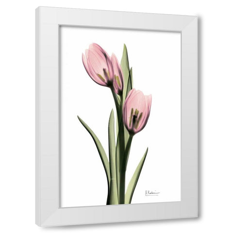 Annie Tulip White Modern Wood Framed Art Print by Koetsier, Albert