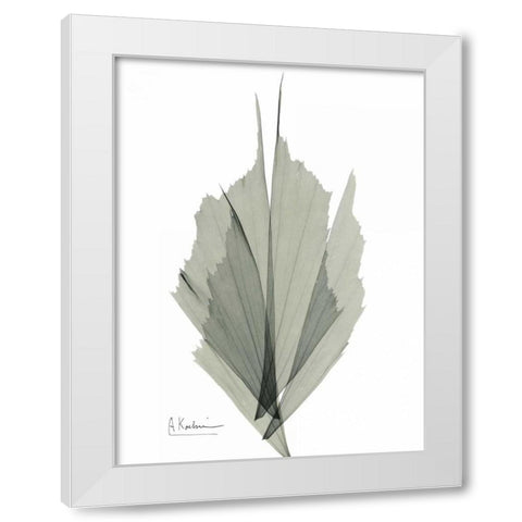 Fish Tail Caryola White Modern Wood Framed Art Print by Koetsier, Albert