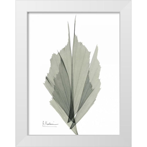 Fish Tail Caryola White Modern Wood Framed Art Print by Koetsier, Albert