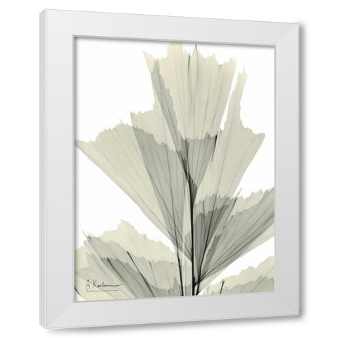 Fish Tail Palm Caryola White Modern Wood Framed Art Print by Koetsier, Albert