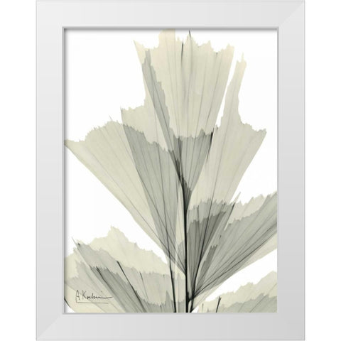 Fish Tail Palm Caryola White Modern Wood Framed Art Print by Koetsier, Albert
