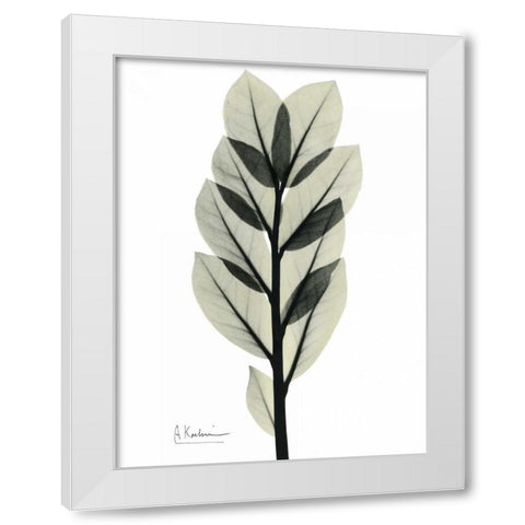 Zan Zibar Gem White Modern Wood Framed Art Print by Koetsier, Albert