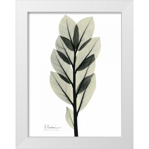 Zan Zibar Gem White Modern Wood Framed Art Print by Koetsier, Albert