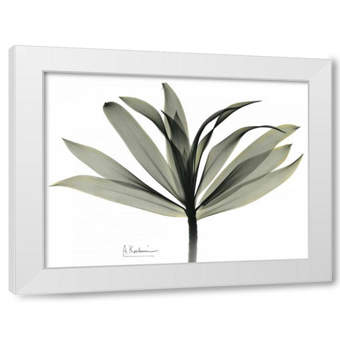 Sons of India Dracaena White Modern Wood Framed Art Print by Koetsier, Albert