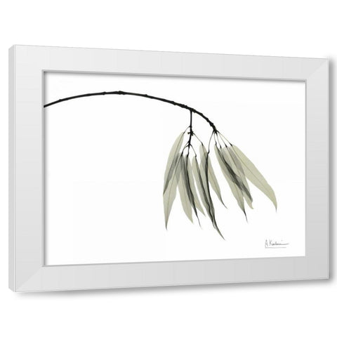 Bottle Tree White Modern Wood Framed Art Print by Koetsier, Albert