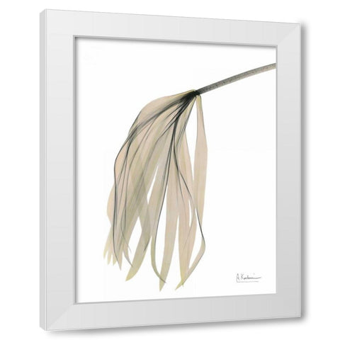 Papyrus in Pink White Modern Wood Framed Art Print by Koetsier, Albert