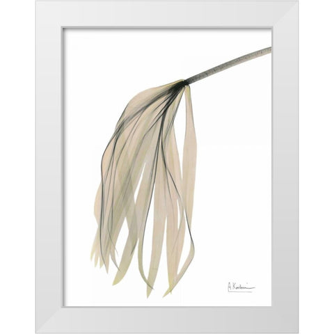 Papyrus in Pink White Modern Wood Framed Art Print by Koetsier, Albert