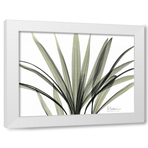 Mini Palm Tree White Modern Wood Framed Art Print by Koetsier, Albert