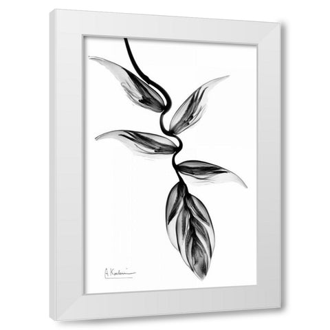 Heliconia BandW White Modern Wood Framed Art Print by Koetsier, Albert