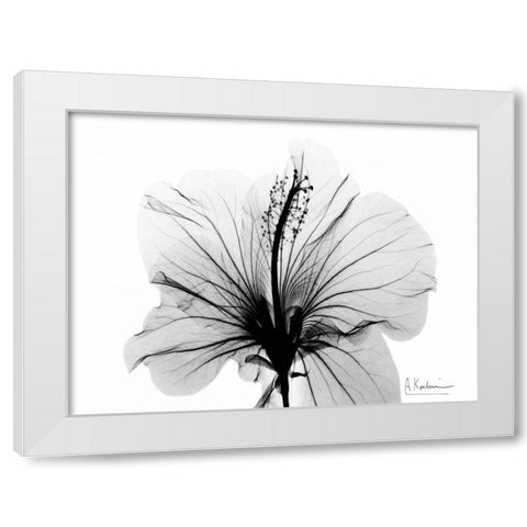 Hibiscus in BandW White Modern Wood Framed Art Print by Koetsier, Albert