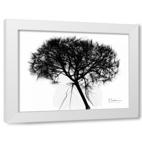 Hydrangea  Bunch In BandW White Modern Wood Framed Art Print by Koetsier, Albert