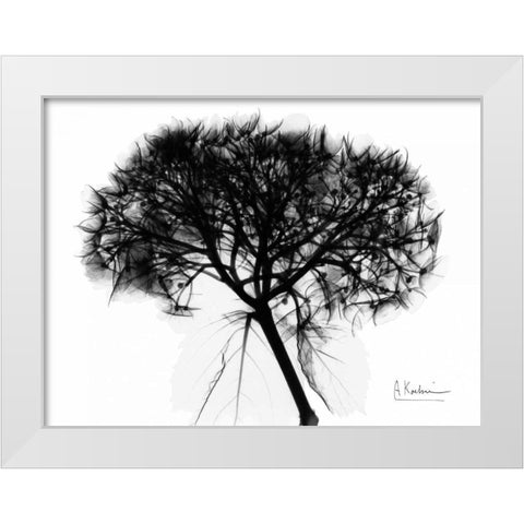 Hydrangea  Bunch In BandW White Modern Wood Framed Art Print by Koetsier, Albert