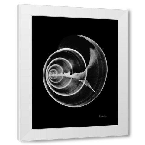 Seas Alive on Black White Modern Wood Framed Art Print by Koetsier, Albert