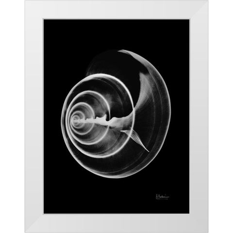 Seas Alive on Black White Modern Wood Framed Art Print by Koetsier, Albert