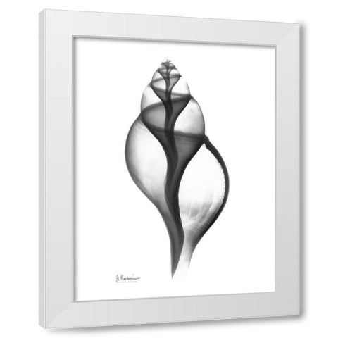 Tulip Shell White Modern Wood Framed Art Print by Koetsier, Albert