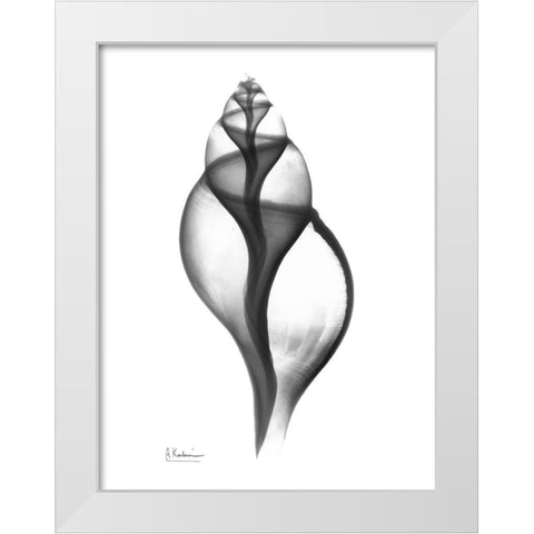 Tulip Shell White Modern Wood Framed Art Print by Koetsier, Albert