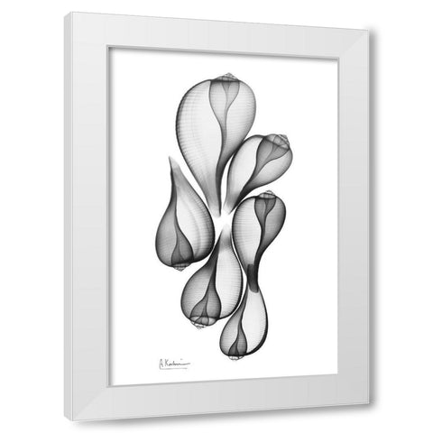 Fig Shells White Modern Wood Framed Art Print by Koetsier, Albert