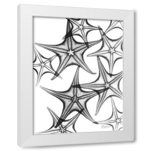 Starfish White Modern Wood Framed Art Print by Koetsier, Albert