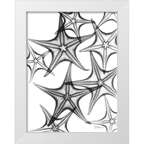 Starfish White Modern Wood Framed Art Print by Koetsier, Albert