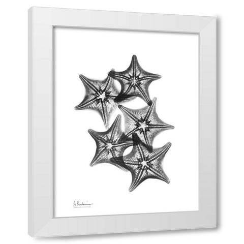 Starfish White Modern Wood Framed Art Print by Koetsier, Albert