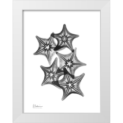 Starfish White Modern Wood Framed Art Print by Koetsier, Albert