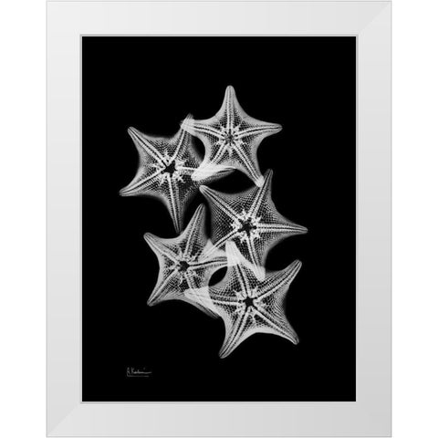 Starfish Collage White Modern Wood Framed Art Print by Koetsier, Albert