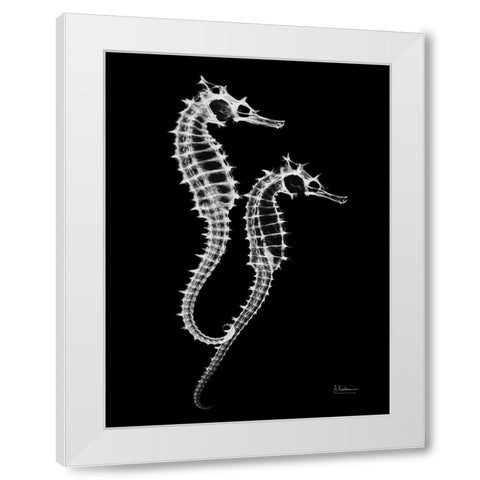 Seahorse Twins on Black White Modern Wood Framed Art Print by Koetsier, Albert