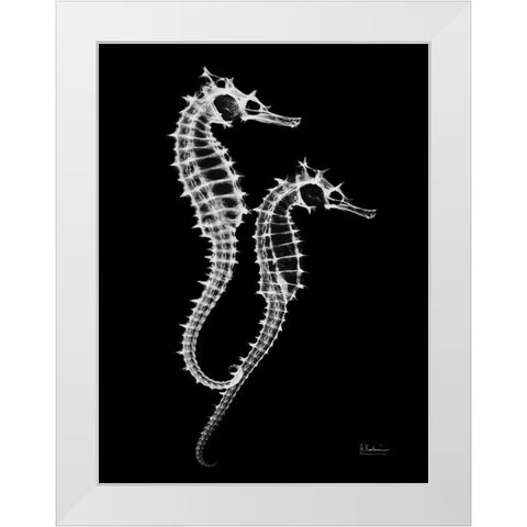 Seahorse Twins on Black White Modern Wood Framed Art Print by Koetsier, Albert