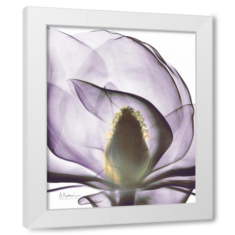 Purple Magnolia A43 White Modern Wood Framed Art Print by Koetsier, Albert