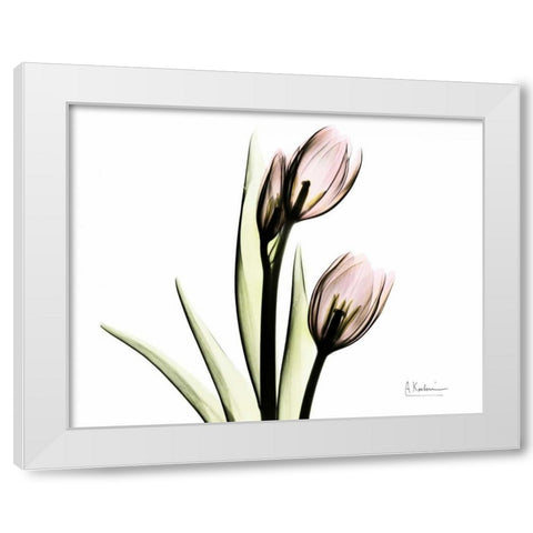 Tulip Love White Modern Wood Framed Art Print by Koetsier, Albert