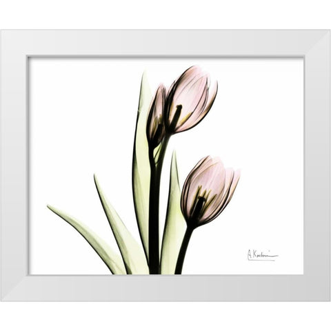 Tulip Love White Modern Wood Framed Art Print by Koetsier, Albert