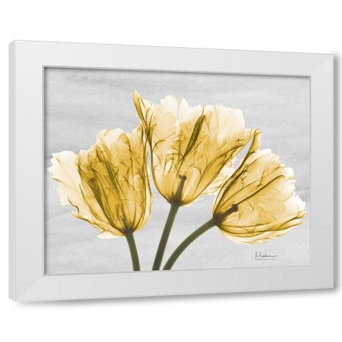 Sunny Trio Tulips White Modern Wood Framed Art Print by Koetsier, Albert