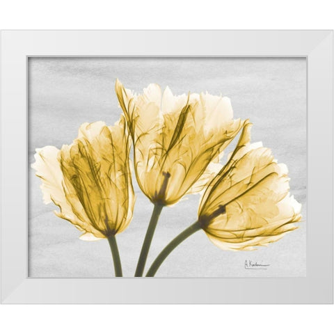 Sunny Trio Tulips White Modern Wood Framed Art Print by Koetsier, Albert