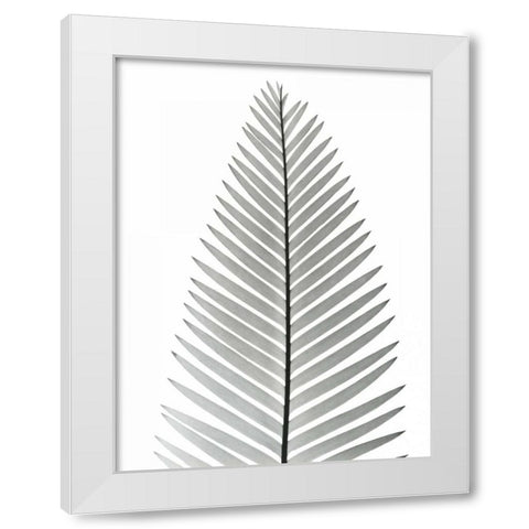 Tropical Fern 2 White Modern Wood Framed Art Print by Koetsier, Albert