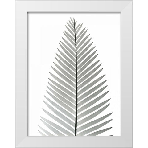Tropical Fern 2 White Modern Wood Framed Art Print by Koetsier, Albert