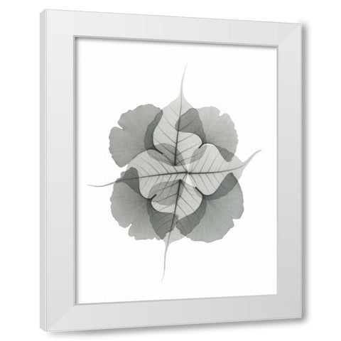 Kaleidoscope Sinko White Modern Wood Framed Art Print by Koetsier, Albert